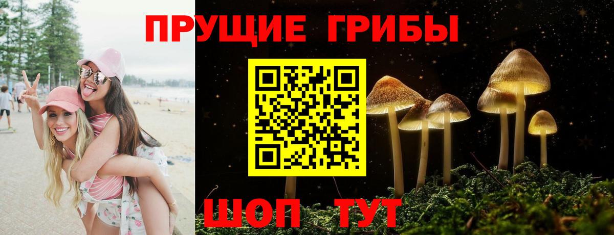 Галлюциногенные грибы Psilocybine cubensis Арсеньев