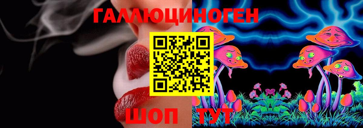 Арсеньев  Псилоцибиновые грибы ЛСД  Вход с VPN 